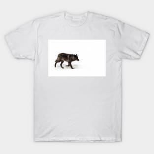 Black Wolf in winter T-Shirt